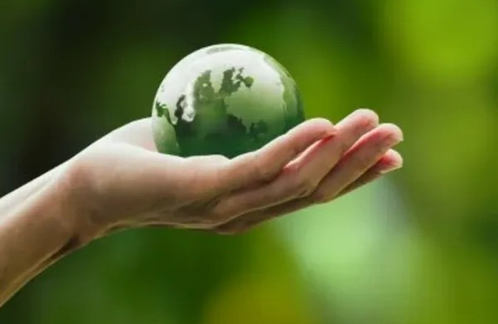 International Climate Initiative Logo