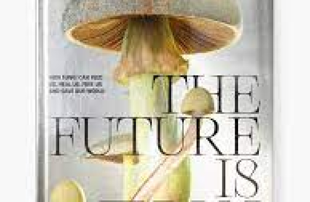 The Future Is Fungi Award Logo