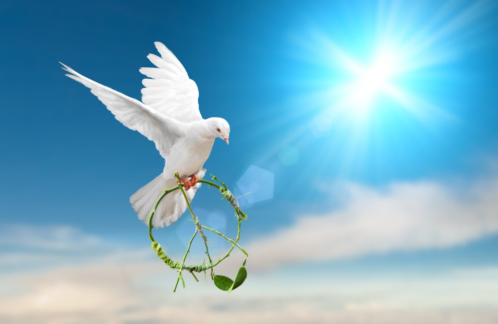 U.S. Institute of Peace Logo