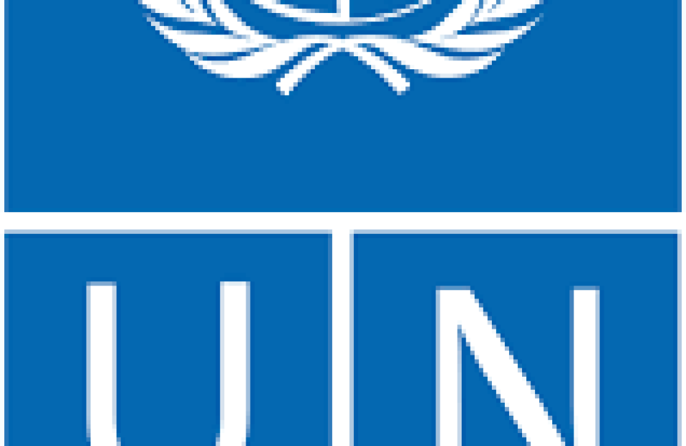 UNDP Name