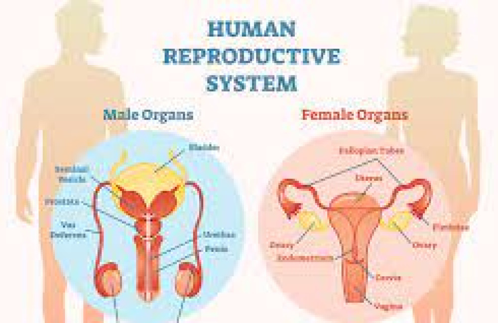 Reproductive Health Supplies Coalition (RHSC) Logo