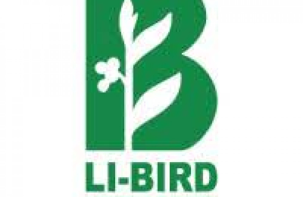 LI - BIRD Name
