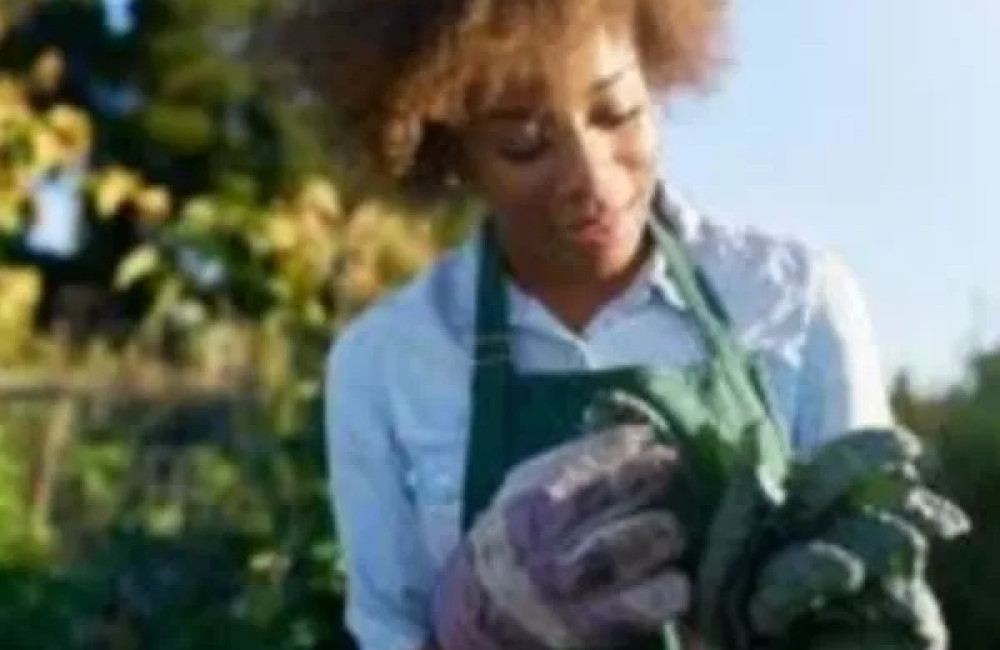 FoodSafety4Africa Name