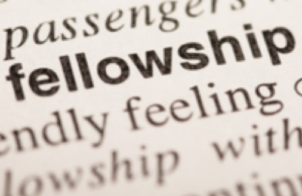 The Branco Weiss Fellowship Logo