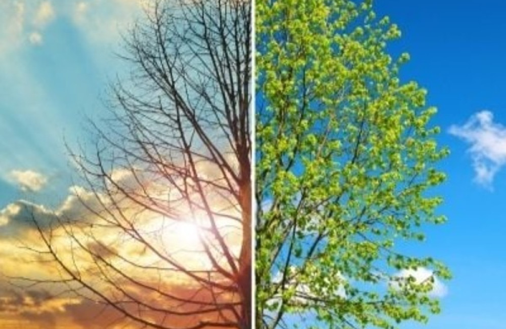 World Wide Fund for Nature Logo