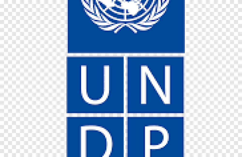 UNDP Name