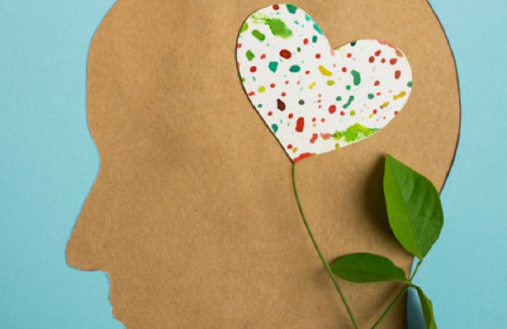 Peace of Mind Foundation Logo