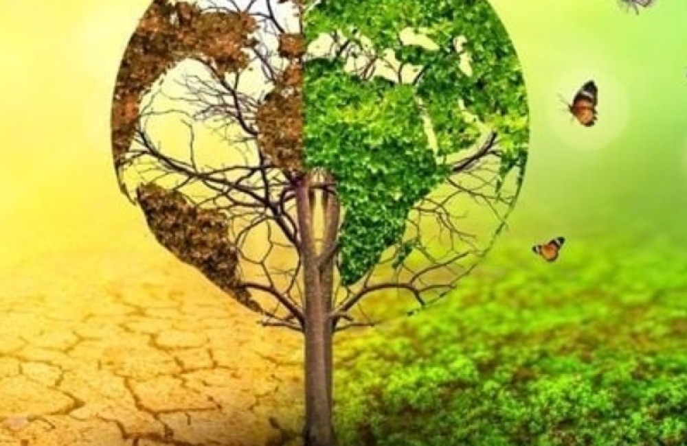 Mitigation Action Facility Logo