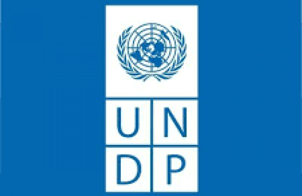 United Nations Development Programme (UNDP) Name