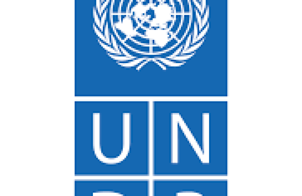 UNDP Name