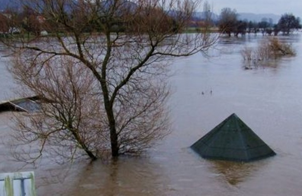 United Nations Office for Disaster Risk Reduction Name