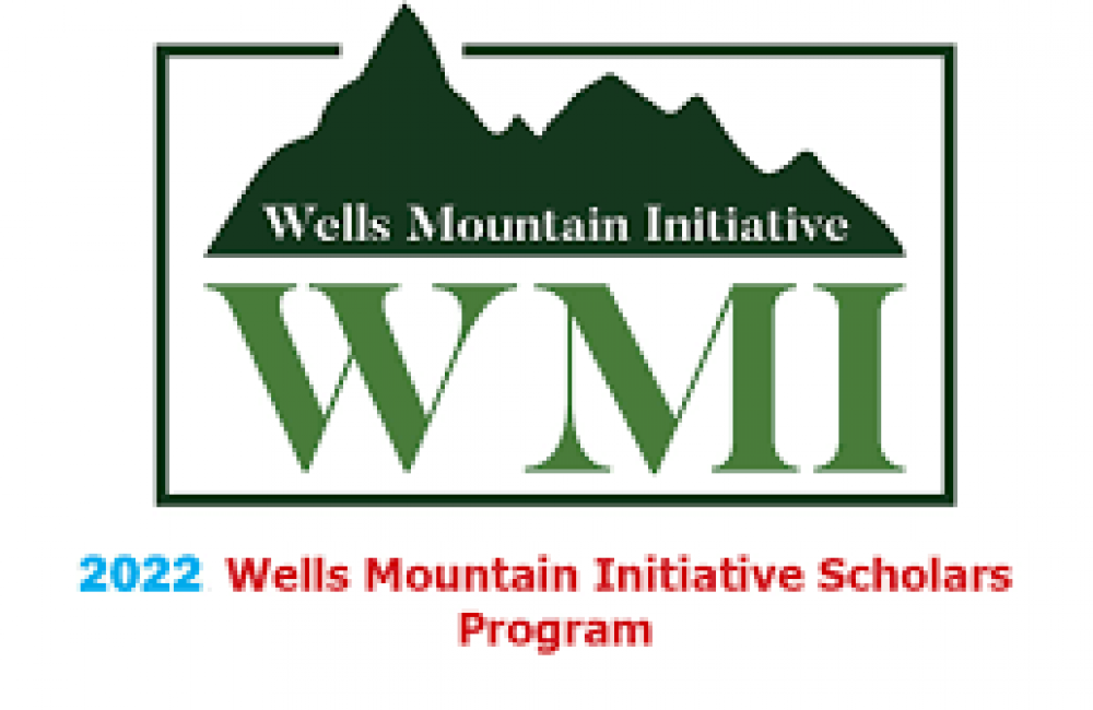 Wells Mountain Initiative Name