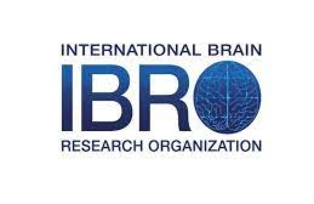 International Brain Research Organization (IBRO) Logo