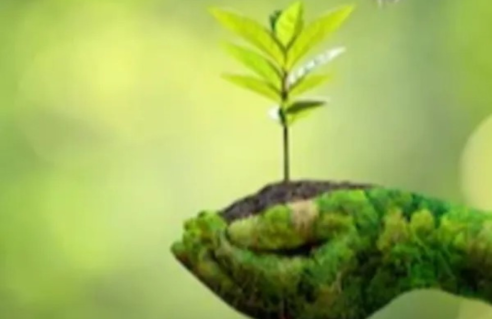 Conservation X Labs Name