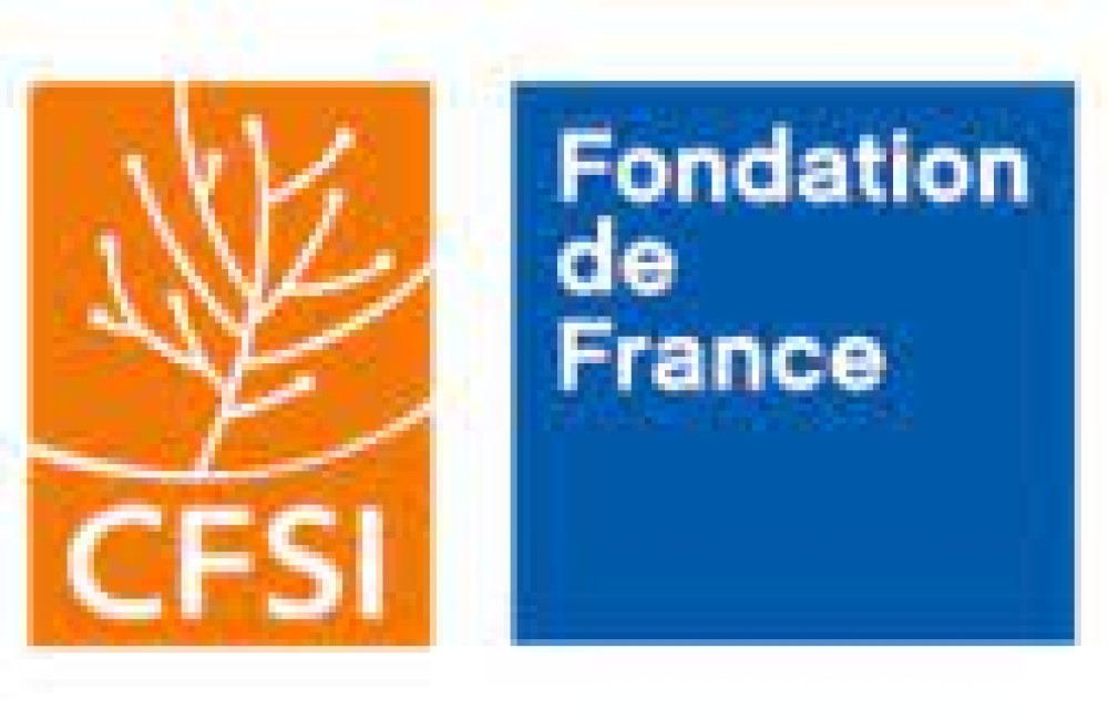 French Committee for International Solidarity (CFSI) Name