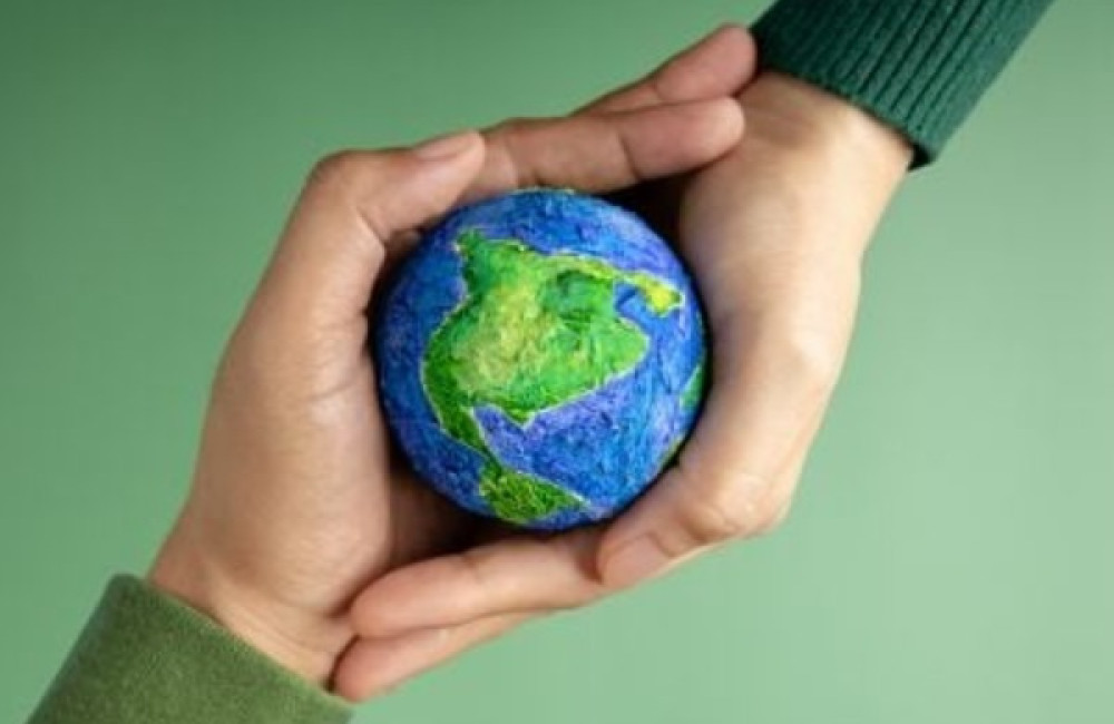 Enterprise Singapore Logo