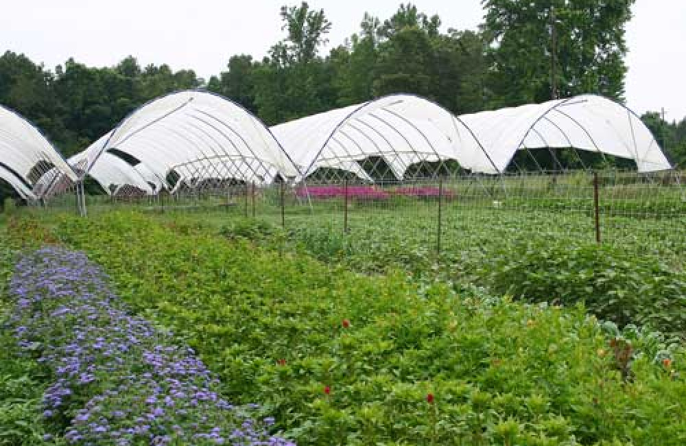 International Conference on Environmental, Food, Agriculture and Bio-Technology (ICEFABT) Name