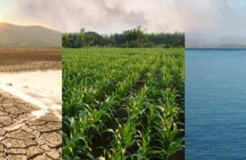 Climate Policy Initiative Name