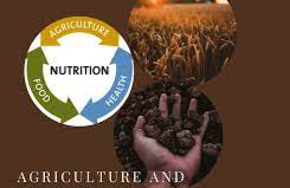 Global Alliance for Improved Nutrition (GAIN) Logo
