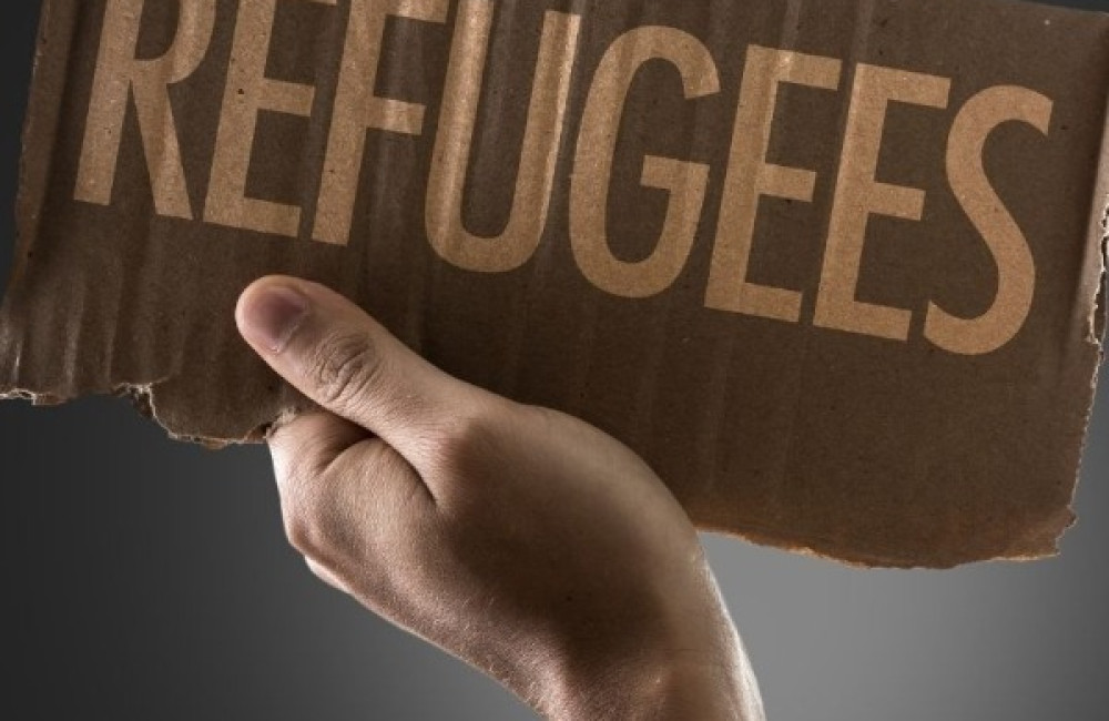 United Nations High Commissioner for Refugees (UNHCR) Logo