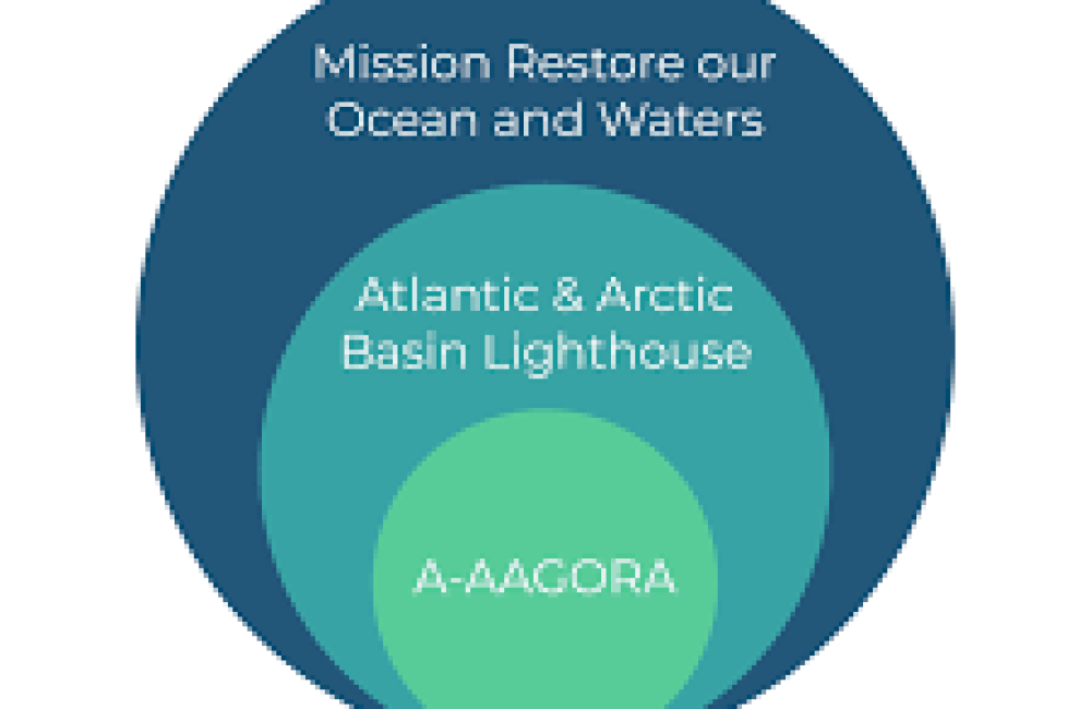 Atlantic-Arctic Agora (A-AAGORA) Logo