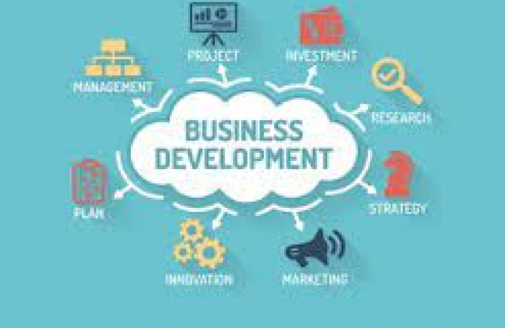 Business for Development Logo