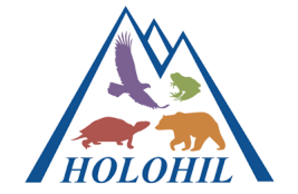 Holohil Systems Logo