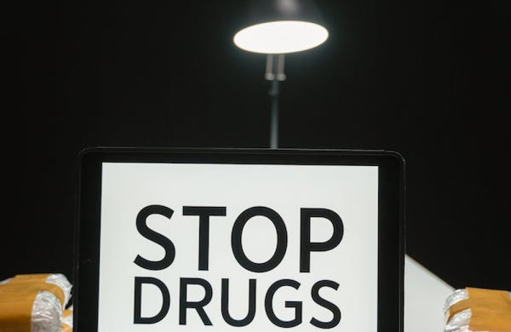 United Nations Office on Drugs and Crime Logo