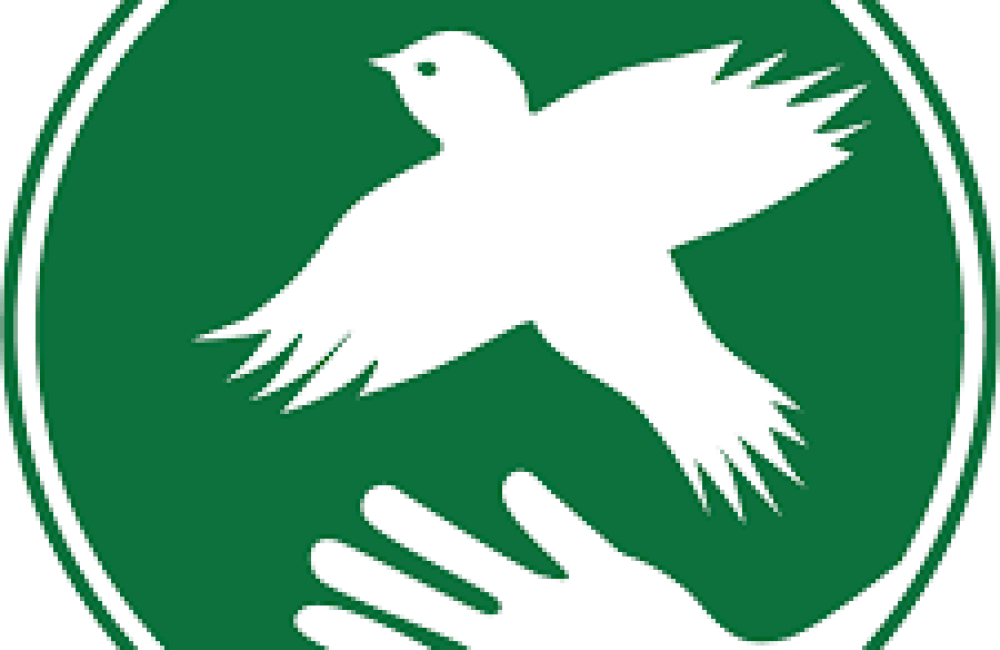 Action for Nature Logo