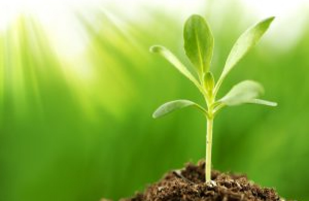 International Conference on Soil, Plant and Water Science (ICSPWS) Name