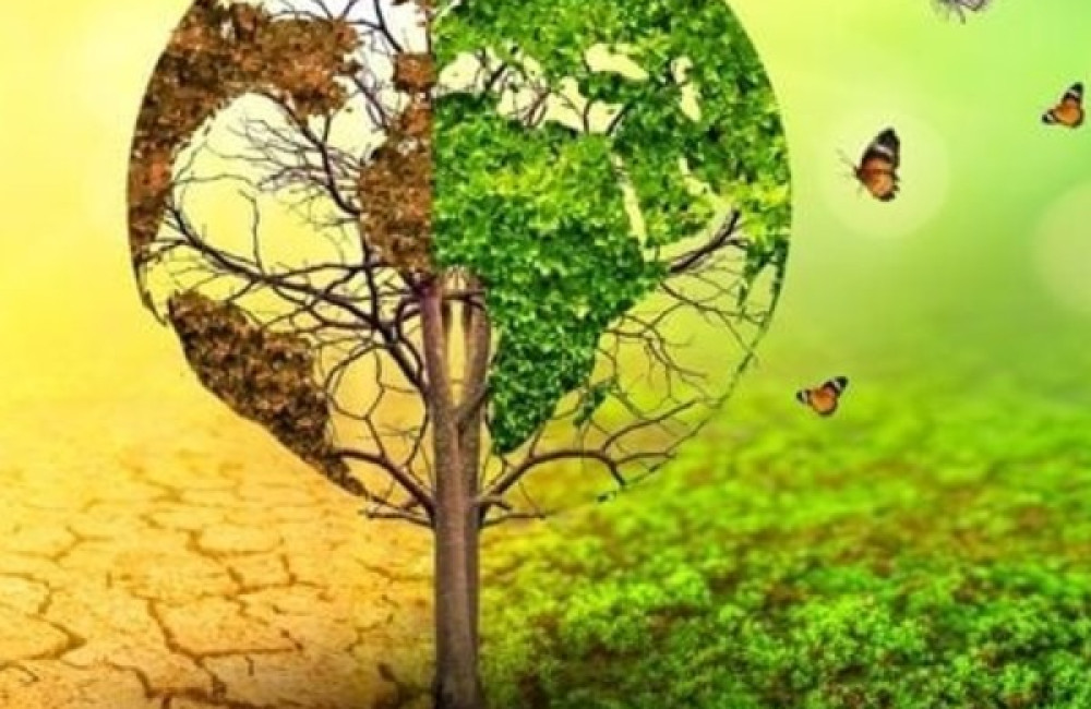 The Pulitzer Center Name