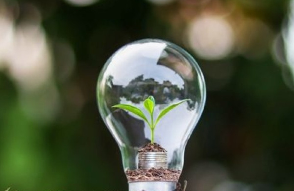 World Wide Fund for Nature Logo