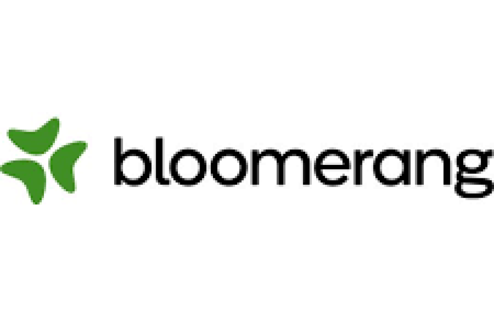 Bloomerang Name