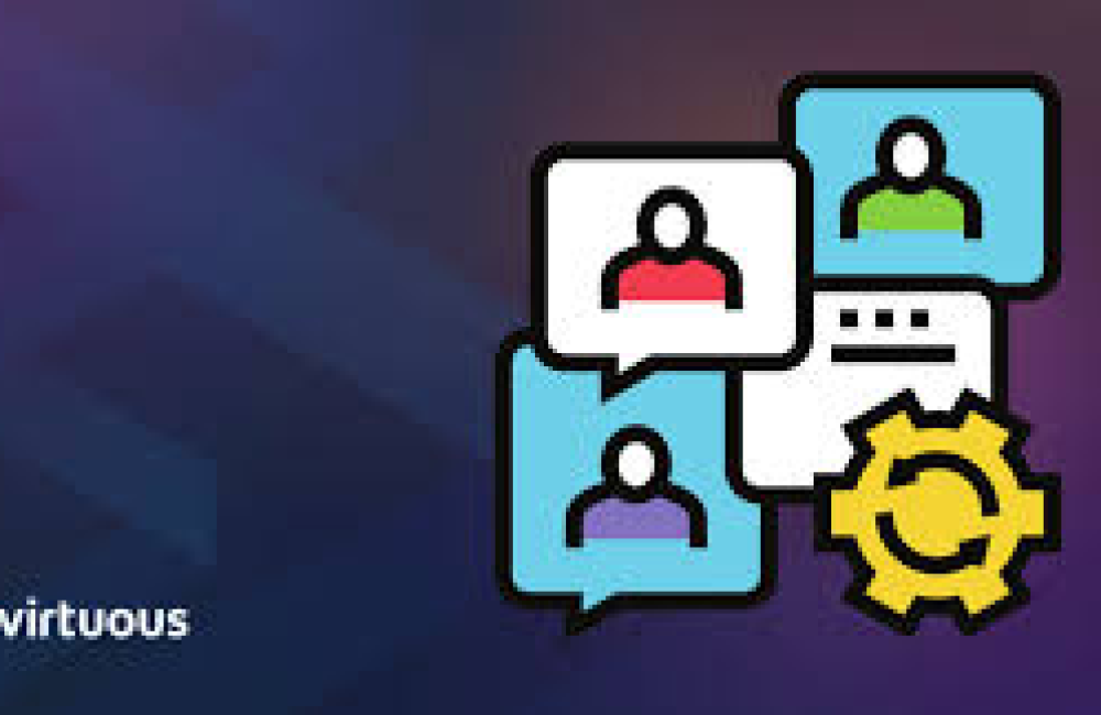 Bloomerang Logo