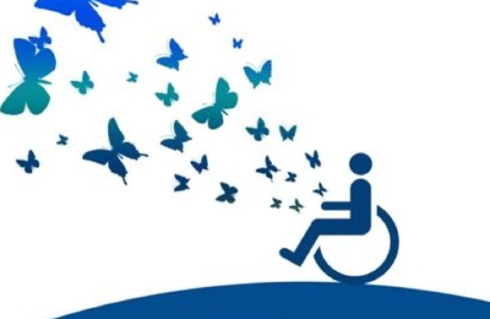 Disability Rights Fund (DRF) Logo