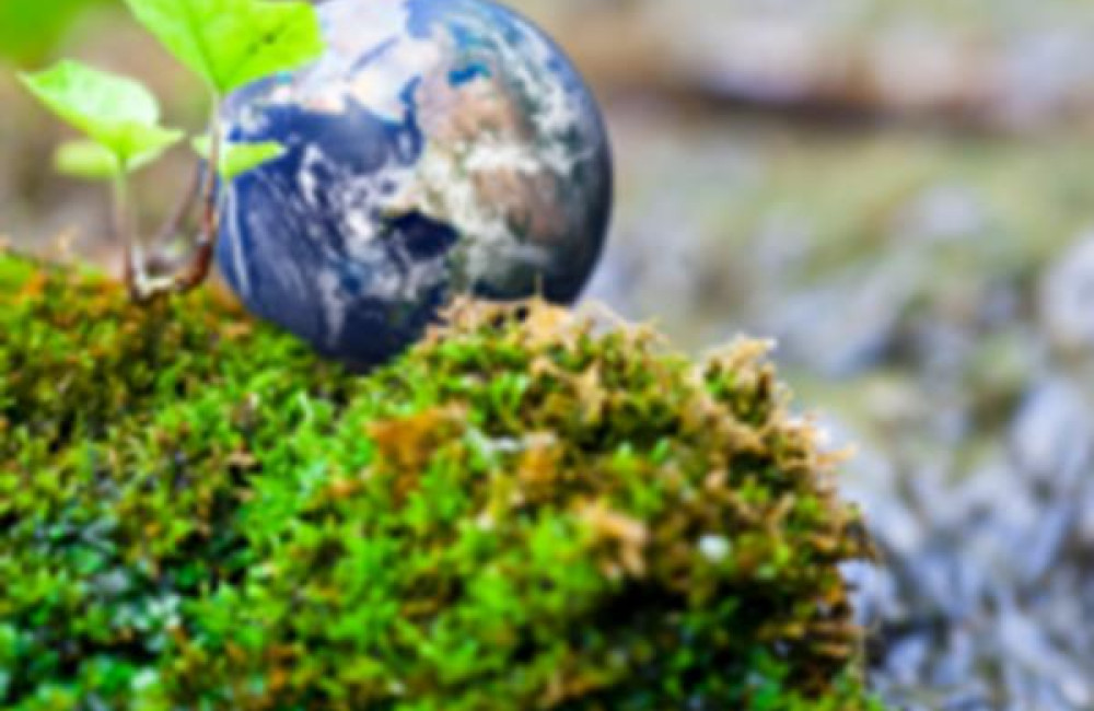 United Nations Environment Programme Logo