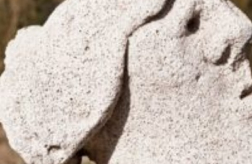 The Henry Moore Foundation Logo