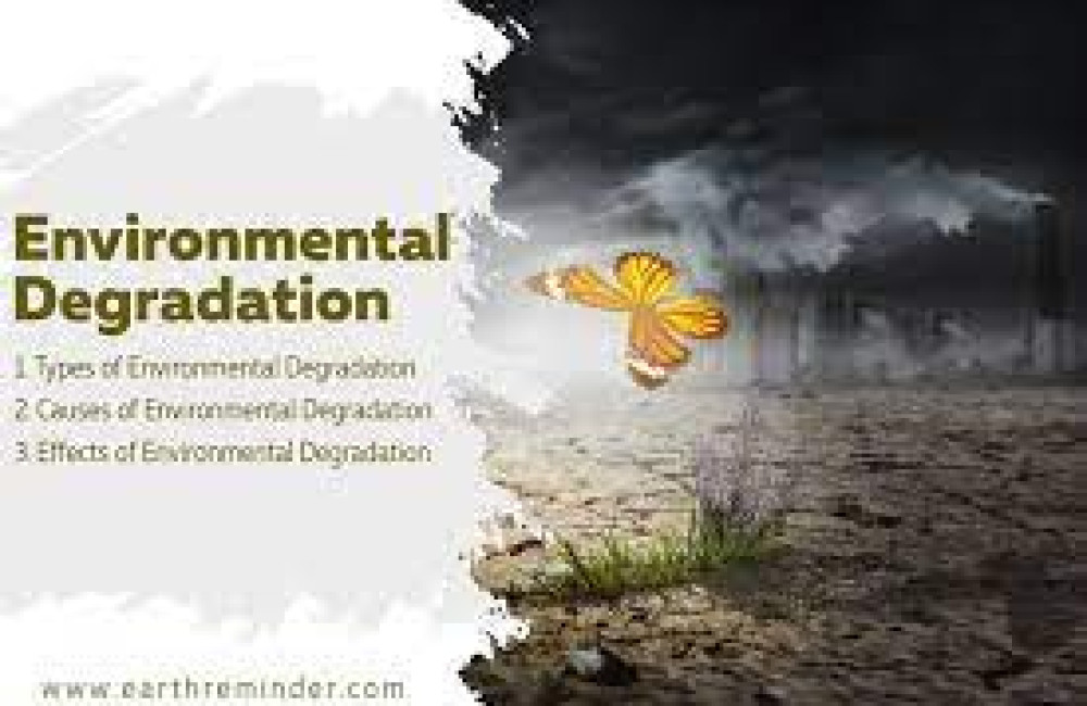 International Institute for Environment and Development (IIED) Name