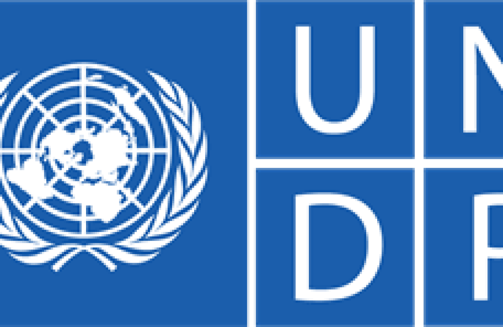 UNDP Name