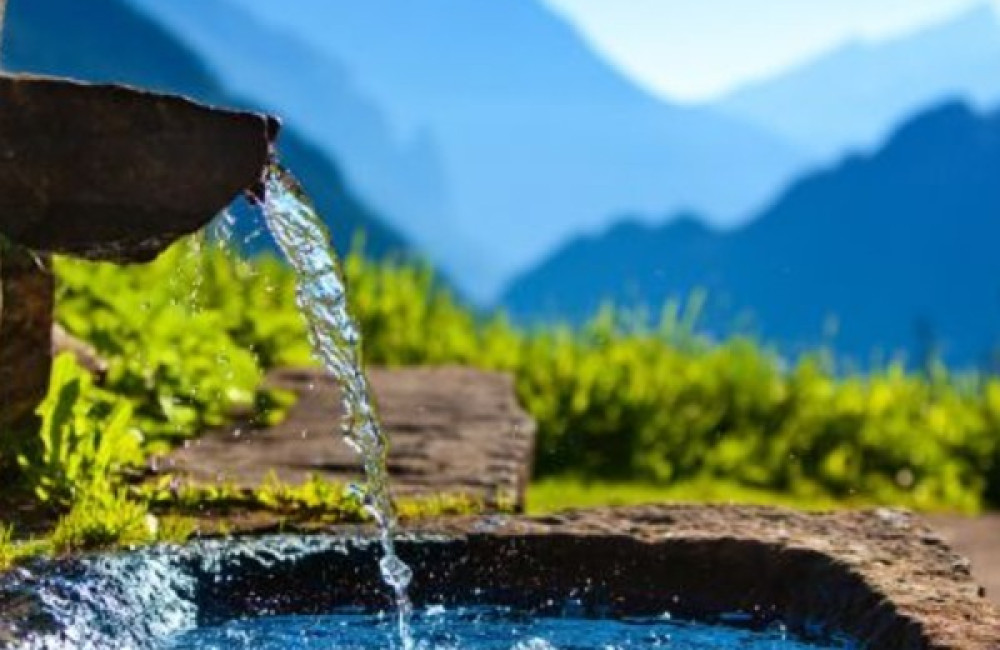 Japan Water Forum Name