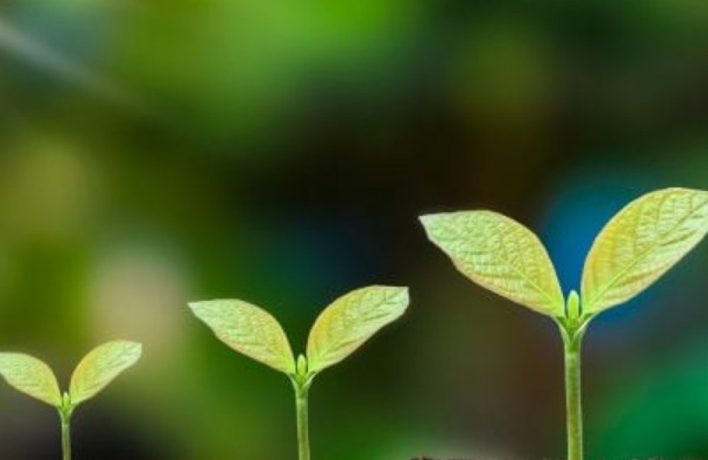 United Nations Environment Programme Logo