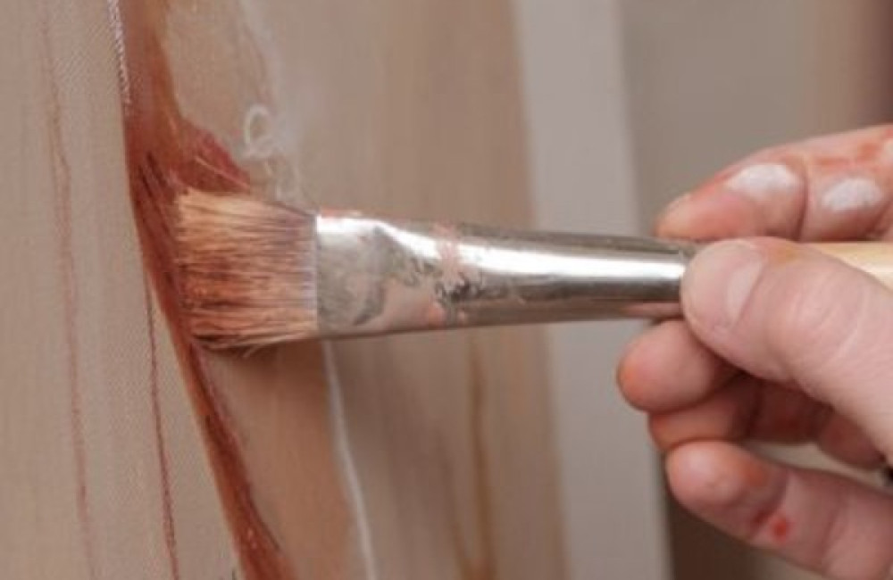 International Fund for Animal Welfare Logo