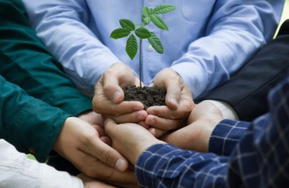 United Nations Environment Programme Logo