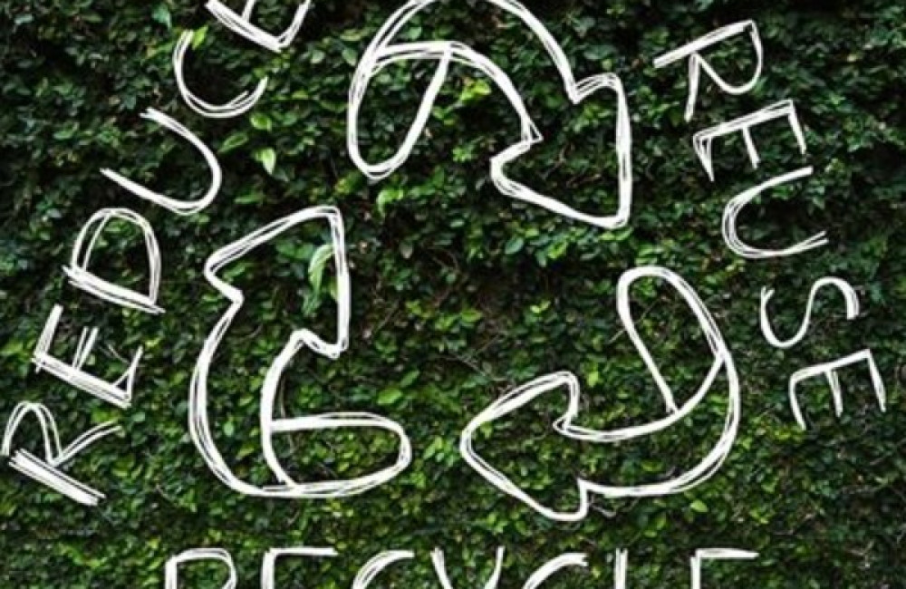 Global Plastic Action Partnership (GPAP) Name