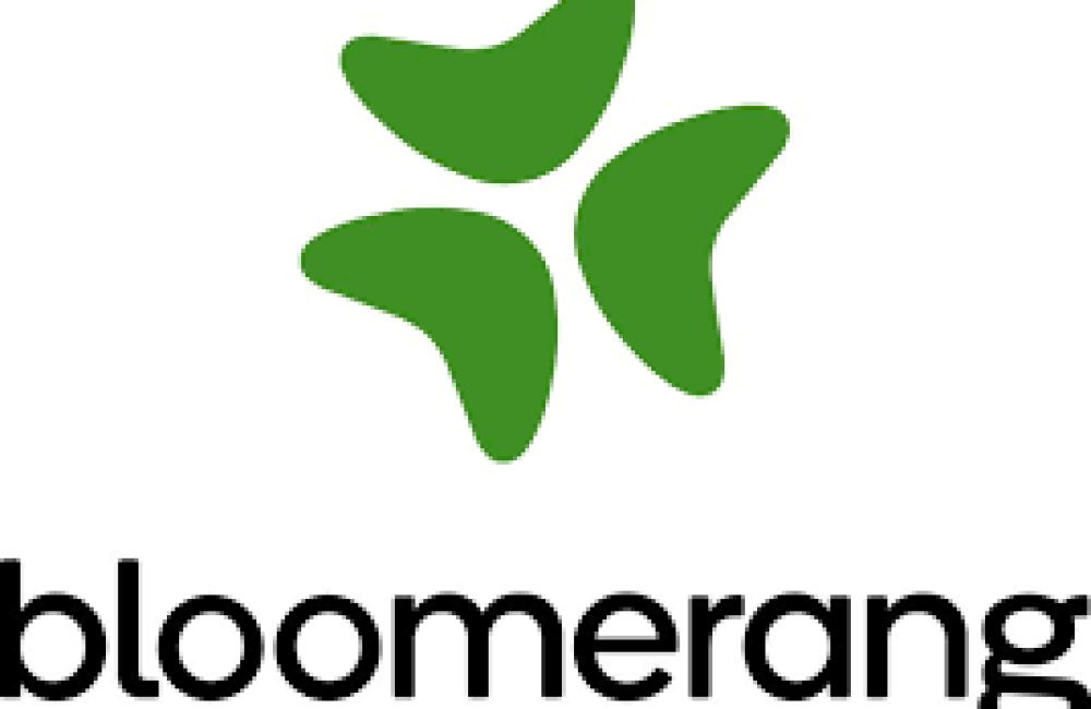 Bloomerang Logo