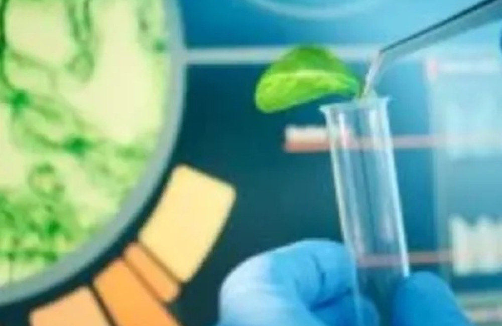 UVU Bio Logo