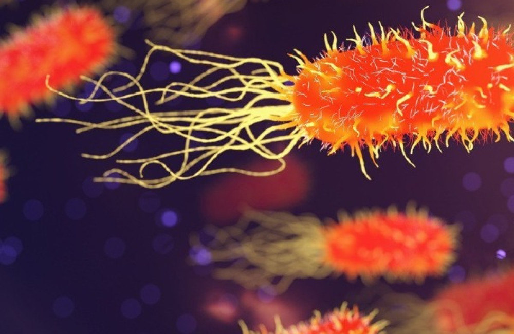 Innovate UK Business Connect Name