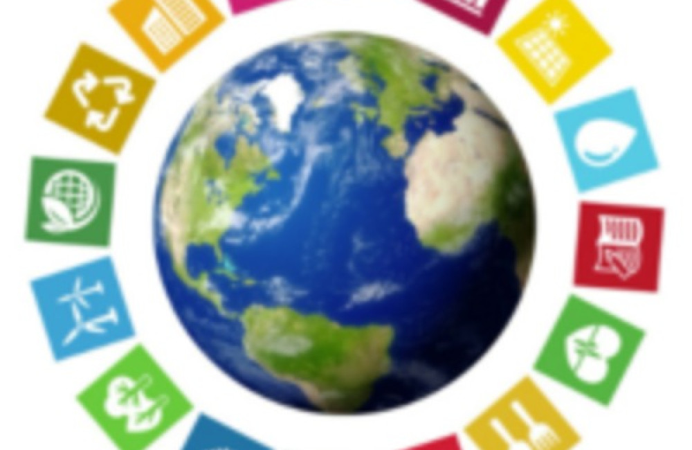 United Nations Industrial Development Organization (UNIDO) Logo