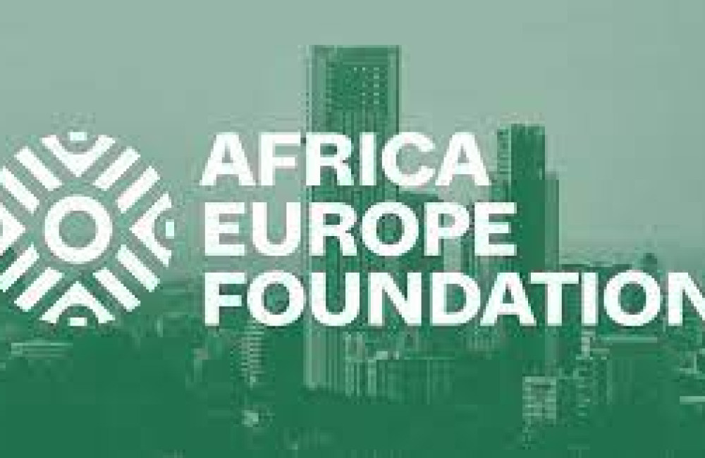 Africa- Europe Foundation Logo