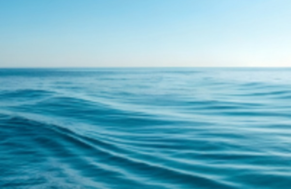 International University of Monaco Name